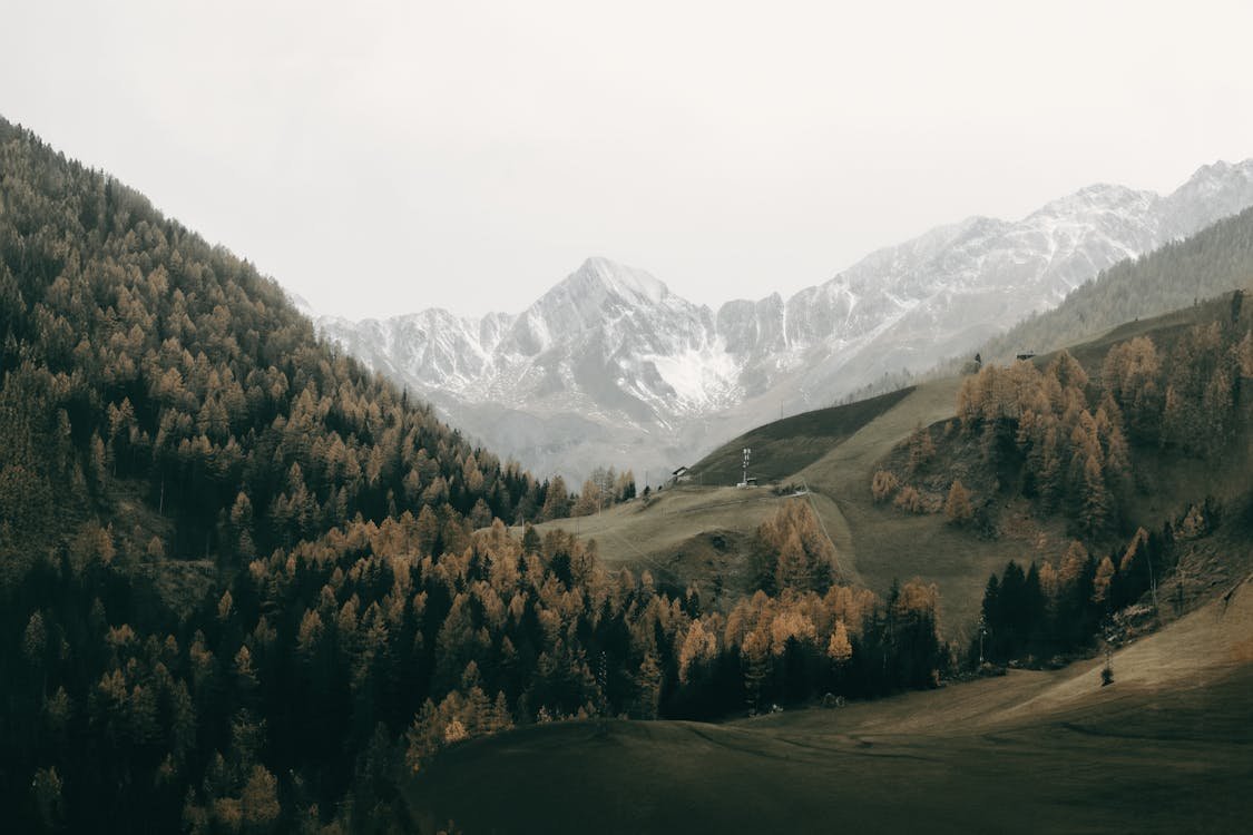 stk-design-library-image-2 Prueba