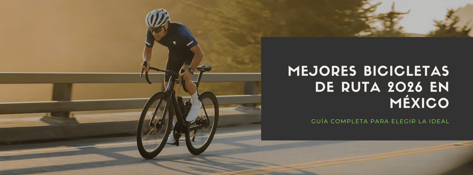 Mejores Bicicletas de Ruta 2026 en México: Guía completa para elegir la ideal