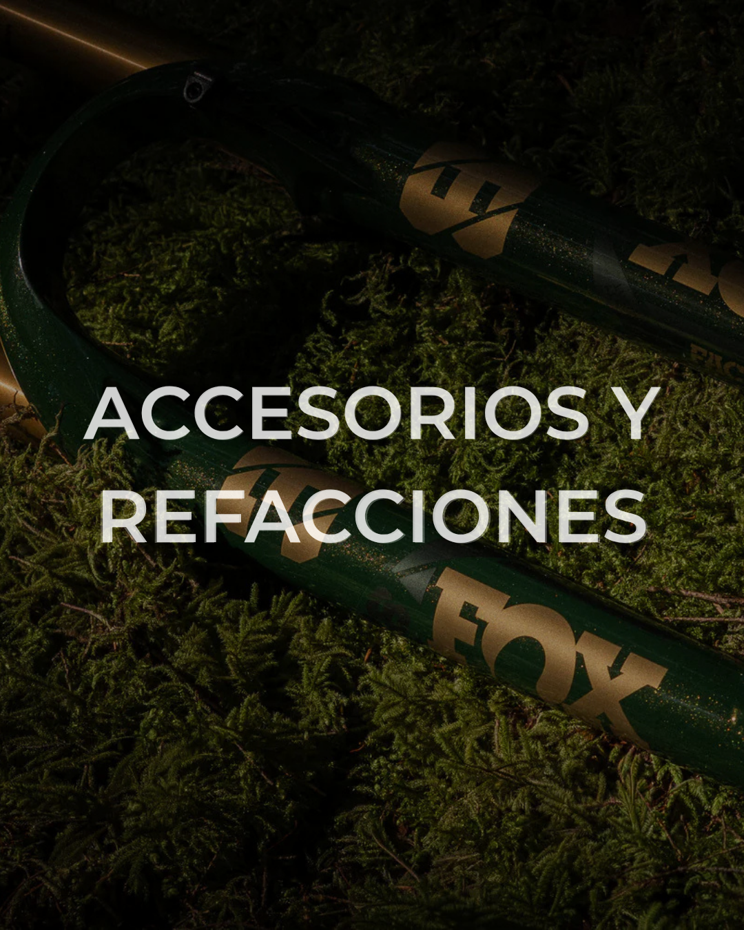 ACCESORIOS