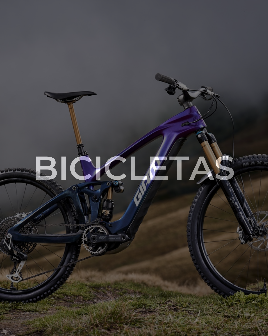 E_BIke